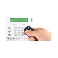 Intrusion Alarm System With Motion Detector