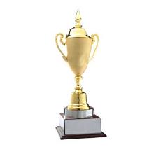 Award Trophy For Sports Event