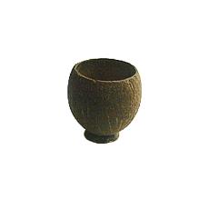 Coconut Shell Made Bowl