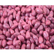 Seed Coating Polymer Maize