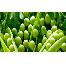 Hygienically Packed Green Peas