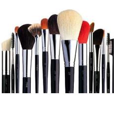 Skin Friendly Cosmetic Brush