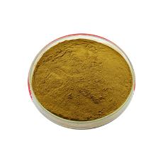 Herbal Brahmi Extract Powder