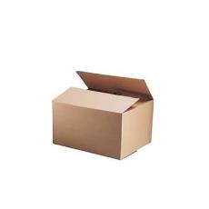 Packaging Purpose Master Carton