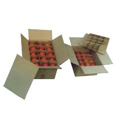 Slotted Type Apple Packing Box