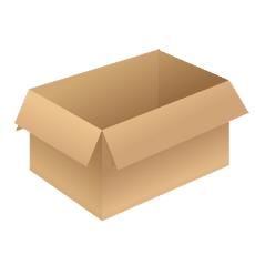 Brown Coloured Carton Box For Packing