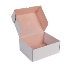 Paper Made Corrugated Box