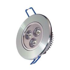 Ceiling Mount Led Down Light