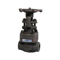 Forged Steel Gate Valve