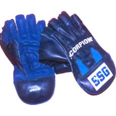 Wicket Keeping Gloves