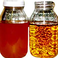 Bio Fuel Oils