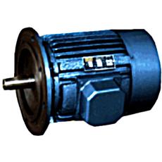 Electric Motors