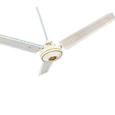 Ceiling Fans