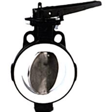 Corrosion Resistant Butterfly Valve