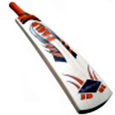 Cricket Bat - English Willow - Vengeance