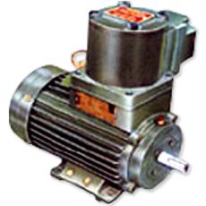 Flame Proof Motors