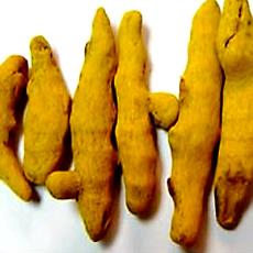 Turmeric Used For Culinary Preparations