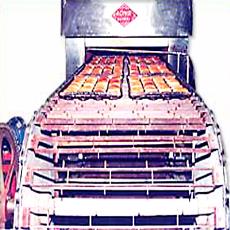 Bread Baking Oven With Circulating Fans.