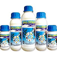 Salotrap - Organic Insecticide