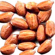 Oval Shaped Indian Groundnuts