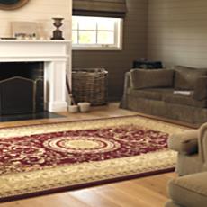 Area Design Rugs With Multiple Print Range