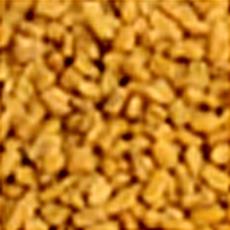 Fenugreek With Flavoring Attributes