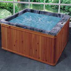 Spa With Water Bottom Light Ac12v