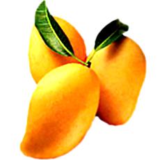 Kesar Mango