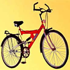 Bicycle With Round Shape Mudguard