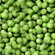 Green Pea