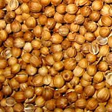 Coriander Seeds