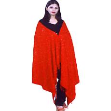 Embroidered Silk Pashmina Shawls