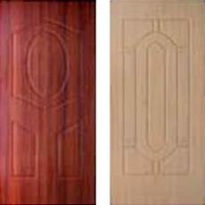 Door And Door Skins